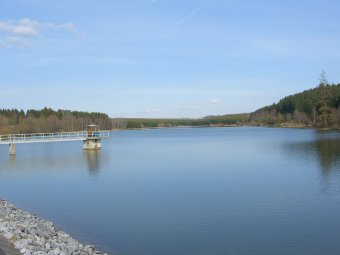 Birkenhäuschen