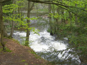 Wasserfall im Selketal